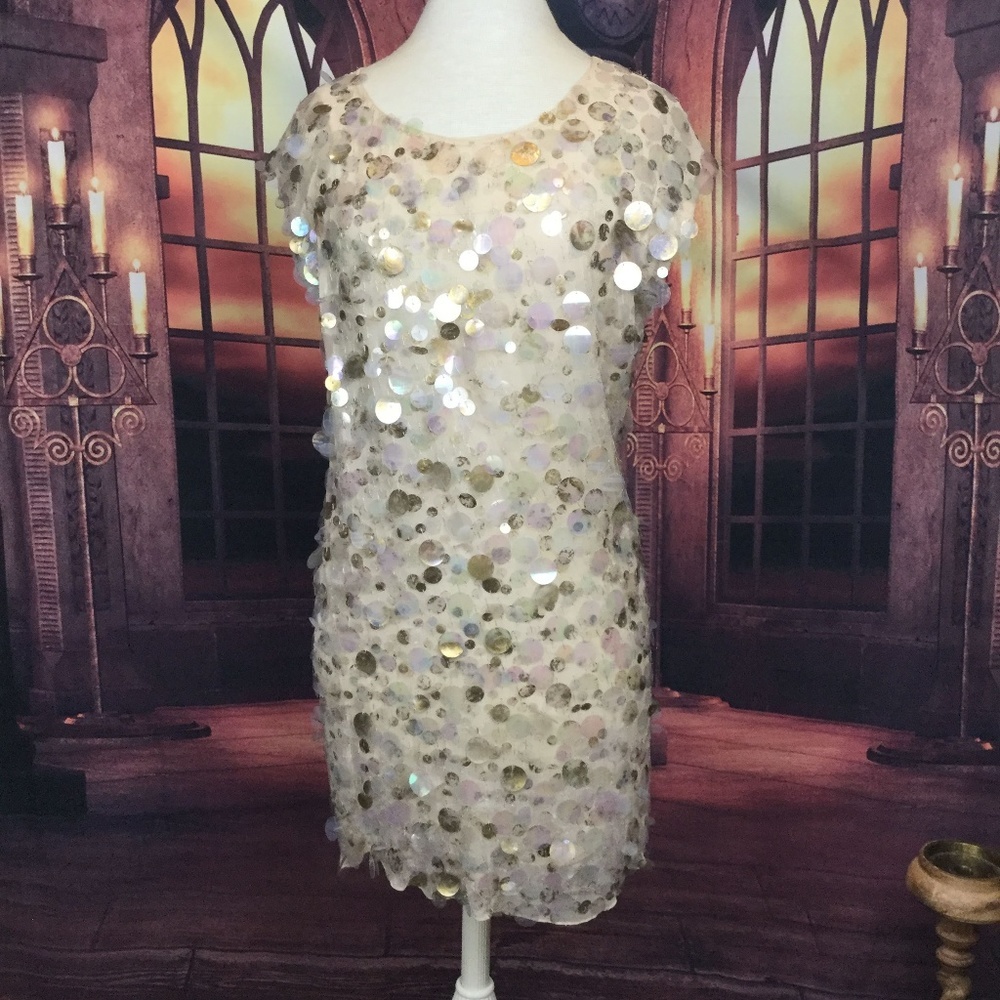 Haute Hippie Dress Midi Cream Silk Large Sequin S